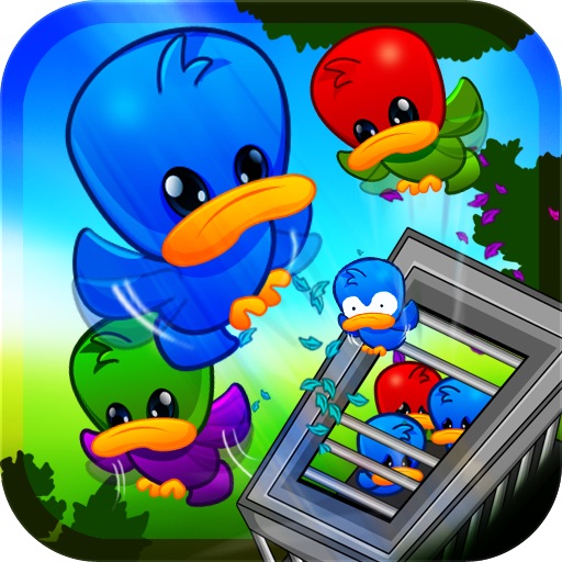 Bird Catch Pro icon