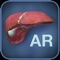 AR Liver app is compatible with the New iPad and the iPad 2