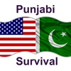 Punjabi Survival Guide