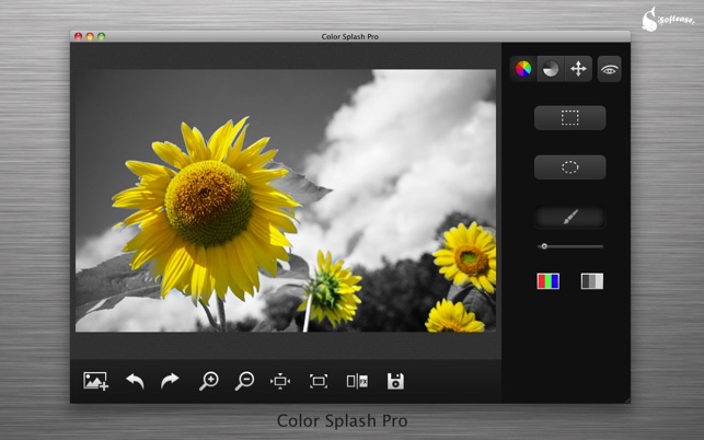 ‎Color Splash Pro Screenshot