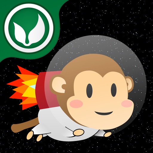 Monkey Rocket Icon