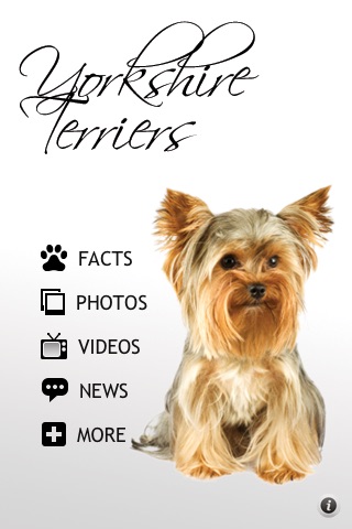 Yorkies - Yorkshire Terrier Fun screenshot-3