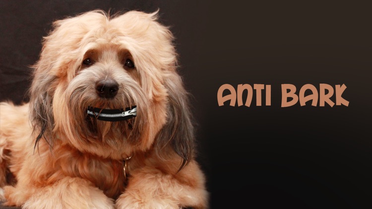 Anti Bark- Dog and Puppy Master
