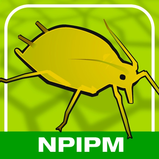 NPIPM Soybean Guide