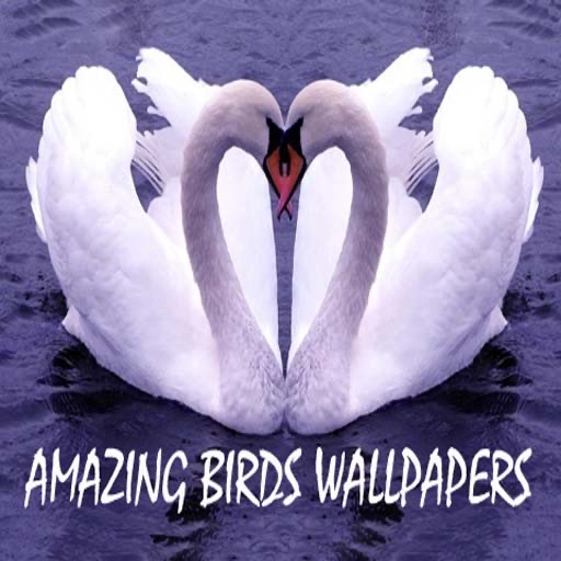 Amazing Birds Wallpapers icon