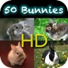 50 Bunnies HD - Cute Sweeties