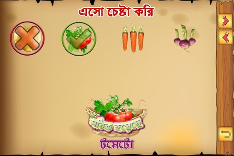 Bengali Vegetables screenshot 4