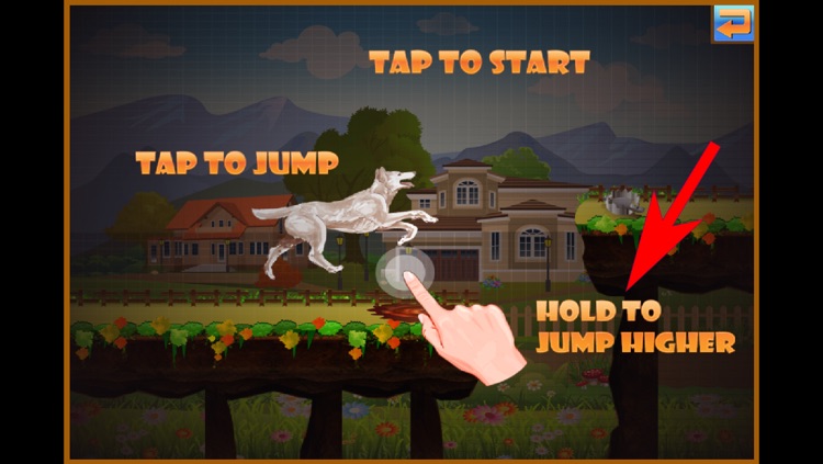 A Dog Run Adventure: Best Super Fun Doge Race Game Free screenshot-4