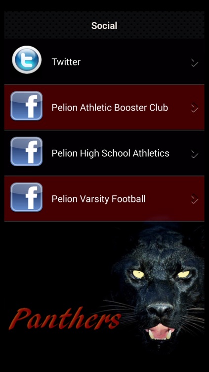 Pelion High School Athletics screenshot-4