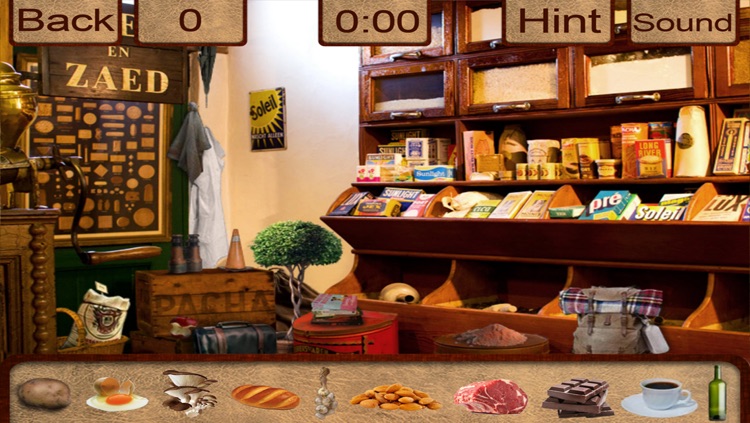 Hidden Objects Guest House screenshot-4