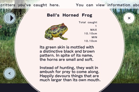 FROG MINUTES screenshot 3