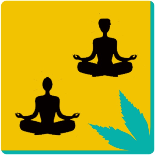 Partner Yoga for iPad icon