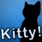 Looking for a way to grab your cats’ attention