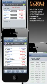 budget planner & web sync (income and expense balance calendar) iphone screenshot 4