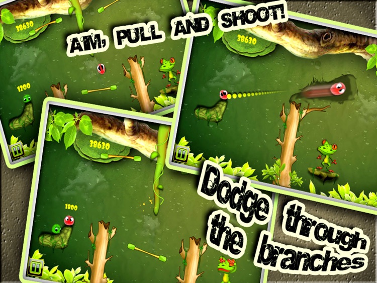 Hungry Froggie HD screenshot-3
