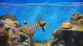 Game screenshot Fish Fingers! 3D Interactive Aquarium mod apk