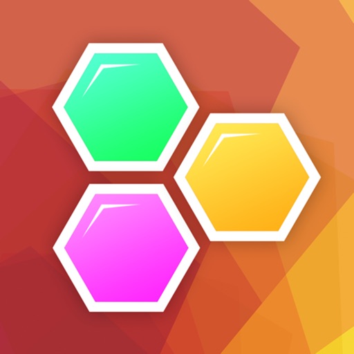 Hexagon Puzzle Icon