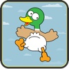 Duck Flying Adventure - Tapping Skill Game