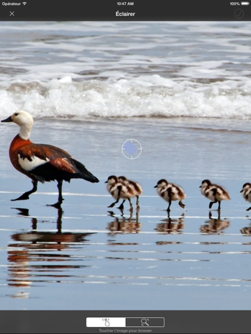 Screenshot #6 pour Éditeur Moderne - Professionnel