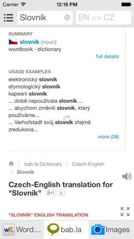Game screenshot All Czech English Dictionary apk