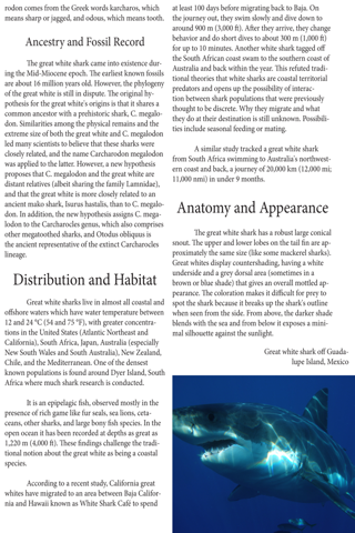 Sharks Magazine screenshot 3