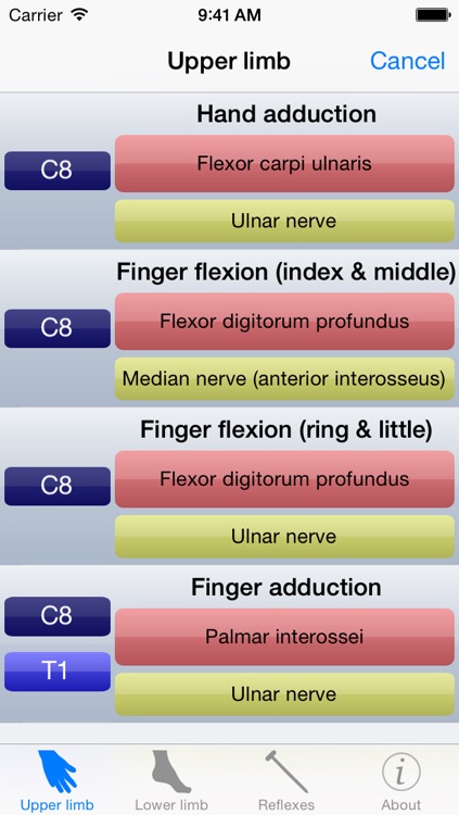 Myotomes