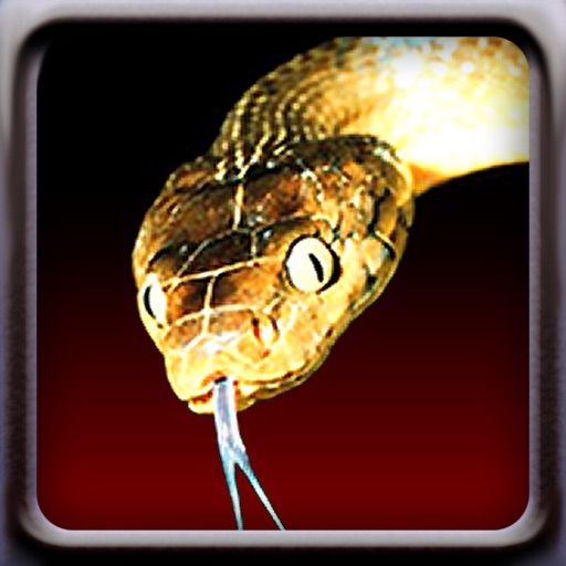 Snakes Icon