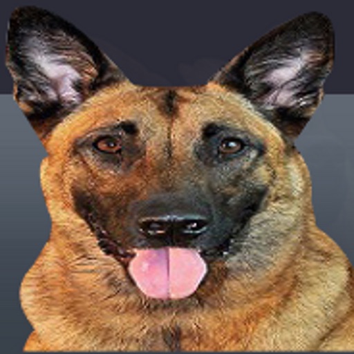 Dog Whistle Extreme