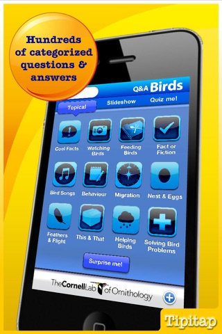 CornellLab Bird Q&A: Your birding questions answered screenshot 2