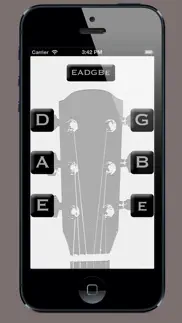 How to cancel & delete guitar tuner· 1