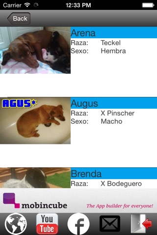 Perro Busca Hogar screenshot 2