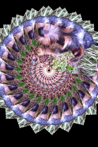 Kaleidoscope Image Creator screenshot 3