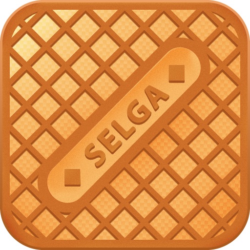 Selgas misija icon