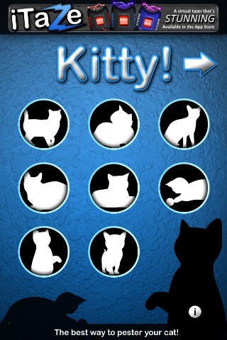 Kitty! Annoy your cat!