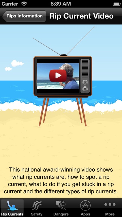 Beach Safety screenshot-4