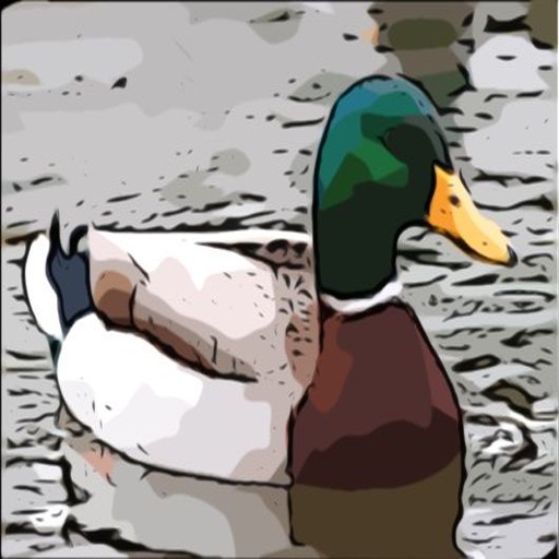 Waterfowl Hunting - Duck Calls For Your Phone or Tablet icon