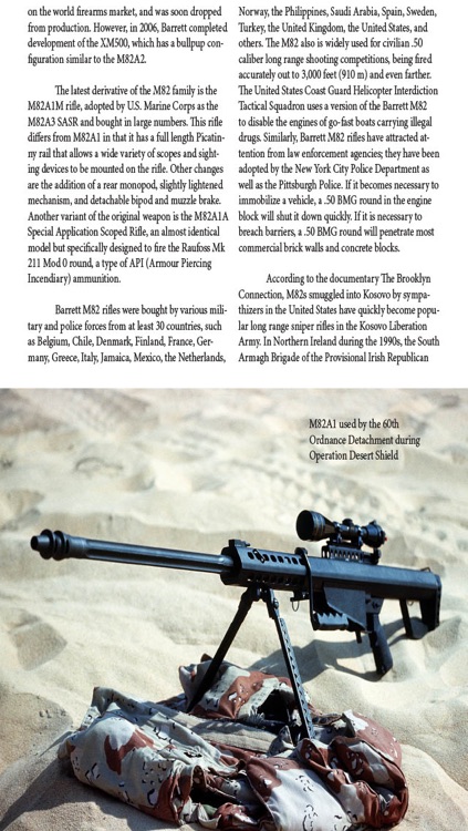 Weapons Magazine
