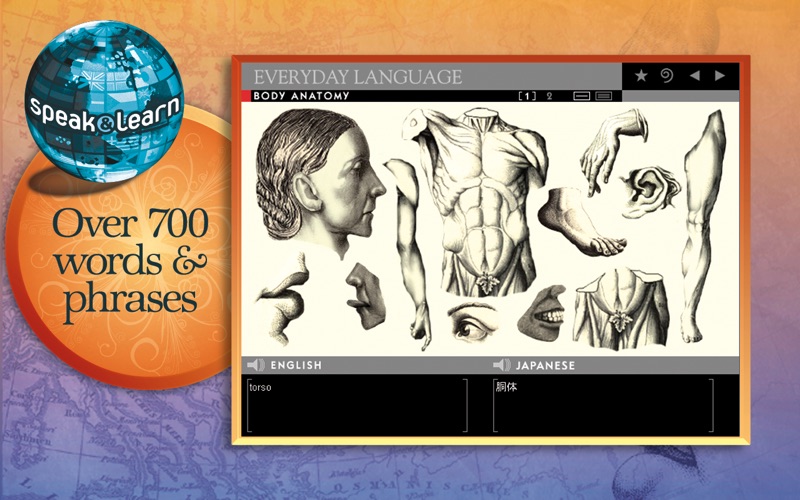 Speak &amp; Learn Japanese thumbnail 2
