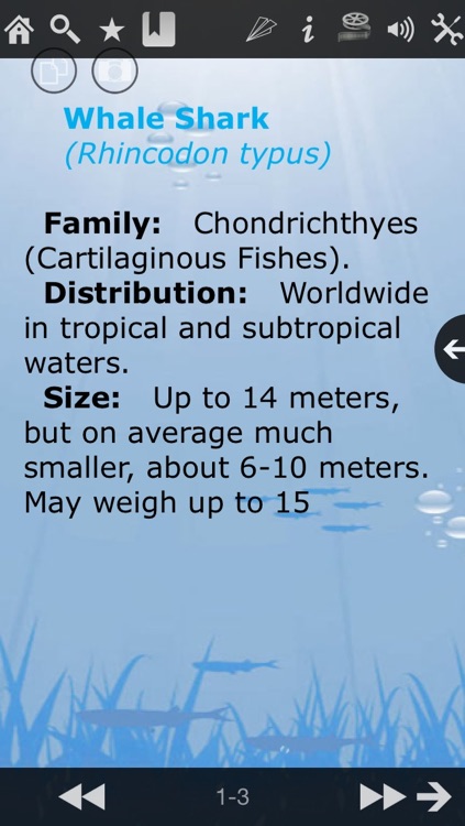 Guide To Tropical Marine Fish 4