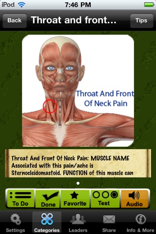 Muscle Trigger Points Doctor screenshot 3