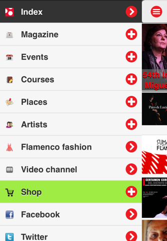 Flamenco DeFlamenco.com screenshot 2