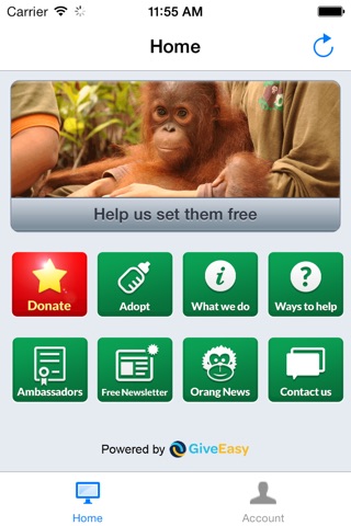 Borneo Orangutan Survival Australia screenshot 2