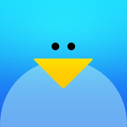 Daft Pigeon
