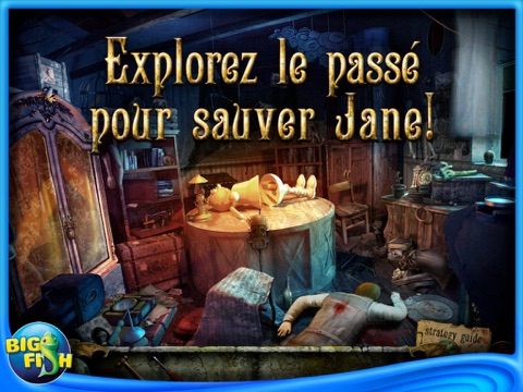 Reincarnations: Uncover the Past Collector's Edition HD screenshot 2