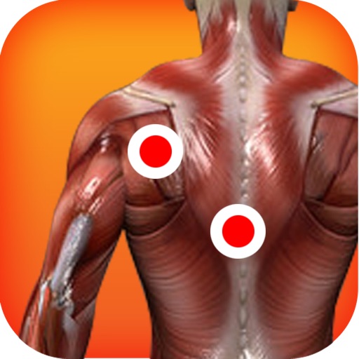 Trigger Points of Muscle icon