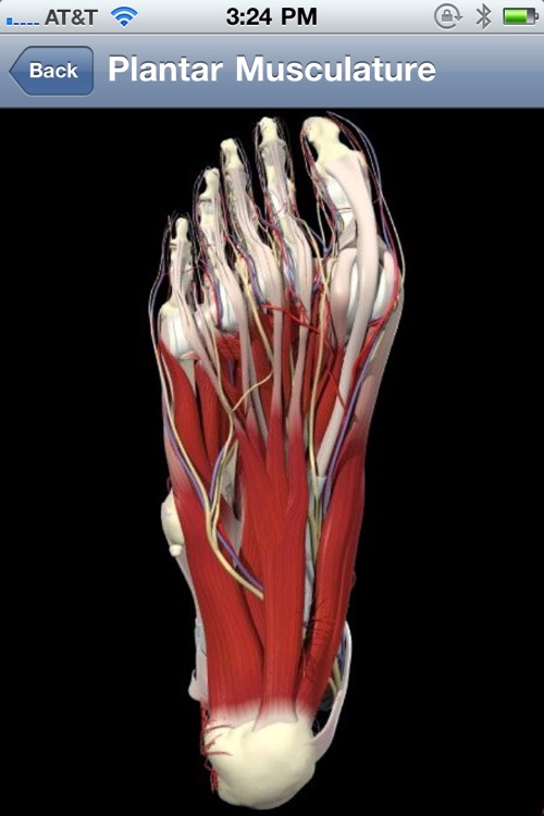iPodiatrist™ - The Podiatry Profession In Your P...