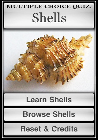 Shells screenshot 3