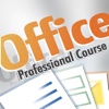 Professional Course for Microsoft Office 2010