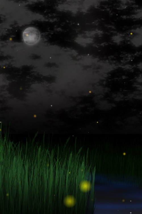 Visualizer Vol.2 HoTaRu