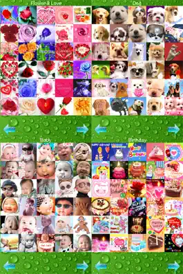Game screenshot Stickers+ Fun Emotion Gif Photo for Messenger hack